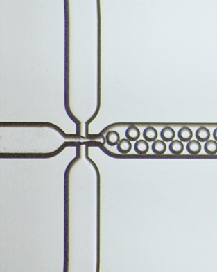 Non-fluorinated droplet systems for hydrogel bead production