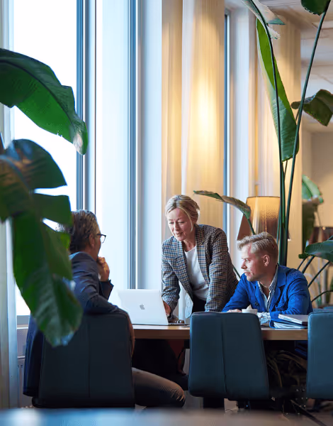 Bilden visar tre personer som diskuterar runt ett bord i ett kontor med stora fönster, där en kvinna lutar sig engagerat mot en kollegas laptop. Rummet är dekorerat med stora gröna växter, vilket skapar en fräsch och inbjudande miljö.