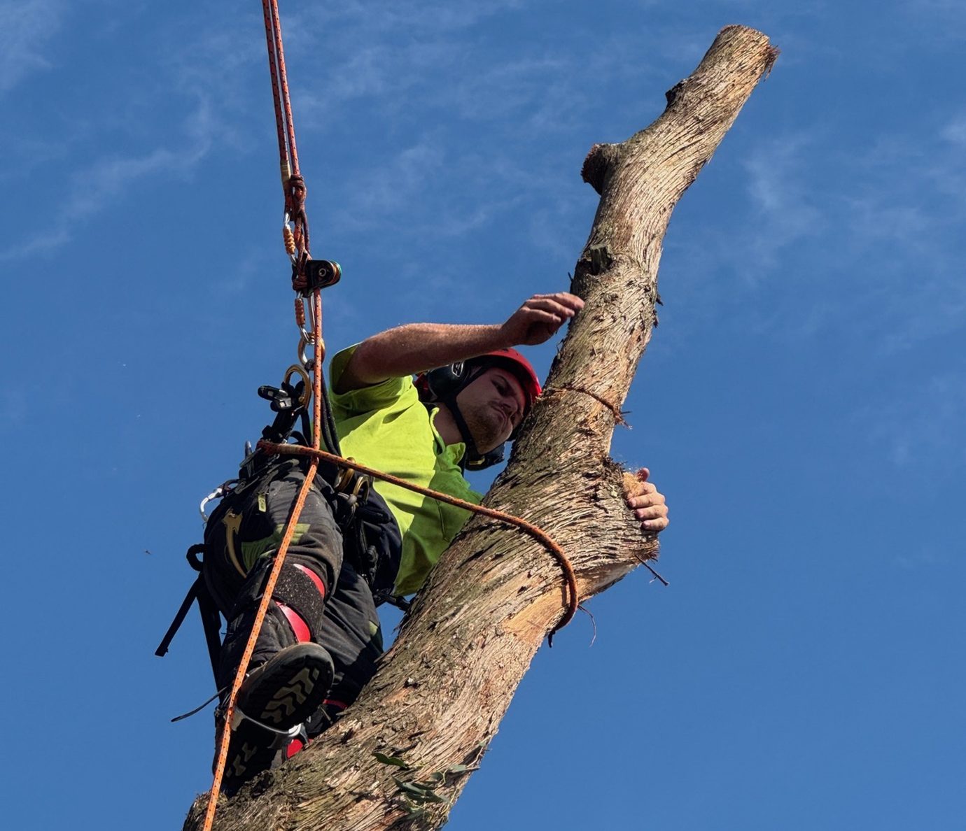 Tomahawk Tree Services