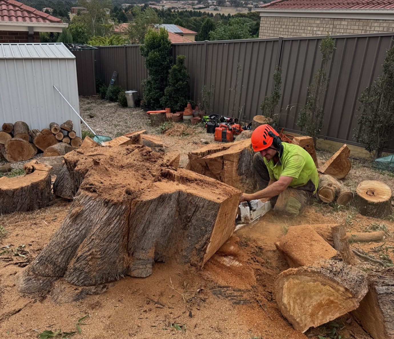 Worker wearing orange helmet uses chainsaw to cut large tree stump in backyard with wood and tools nearby.