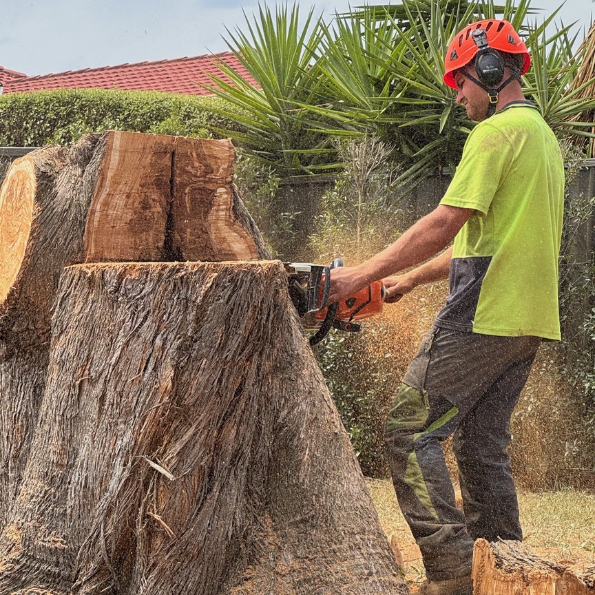 Tomahawk Tree Services chainsaw-cutting a large stump