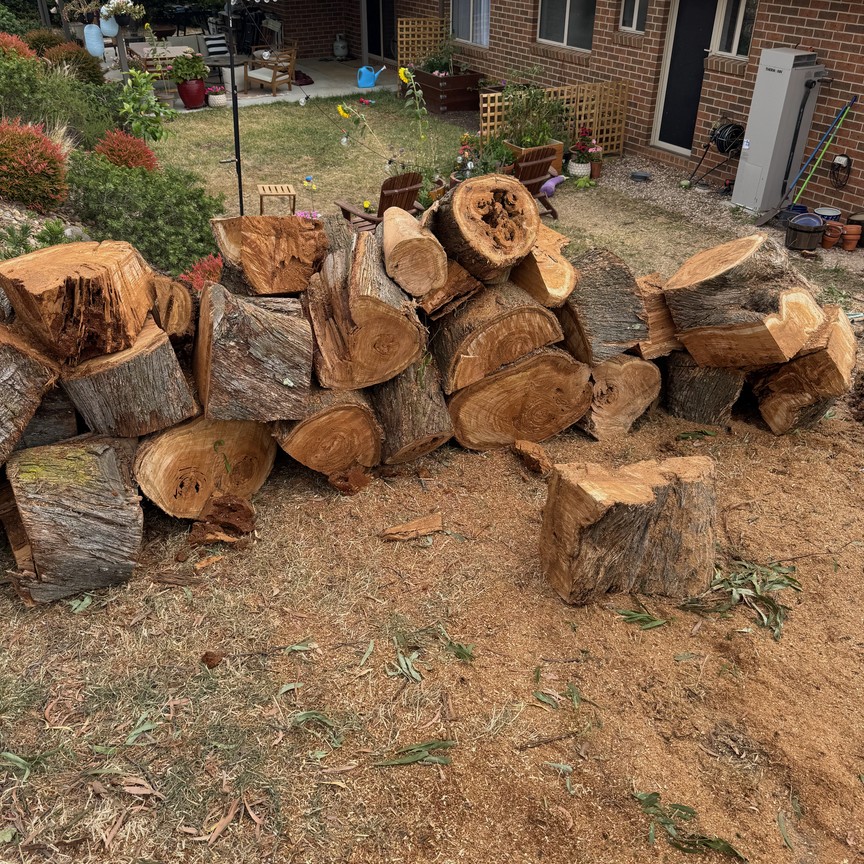 Cut tree rounds stacked after a Tomahawk Tree Services job