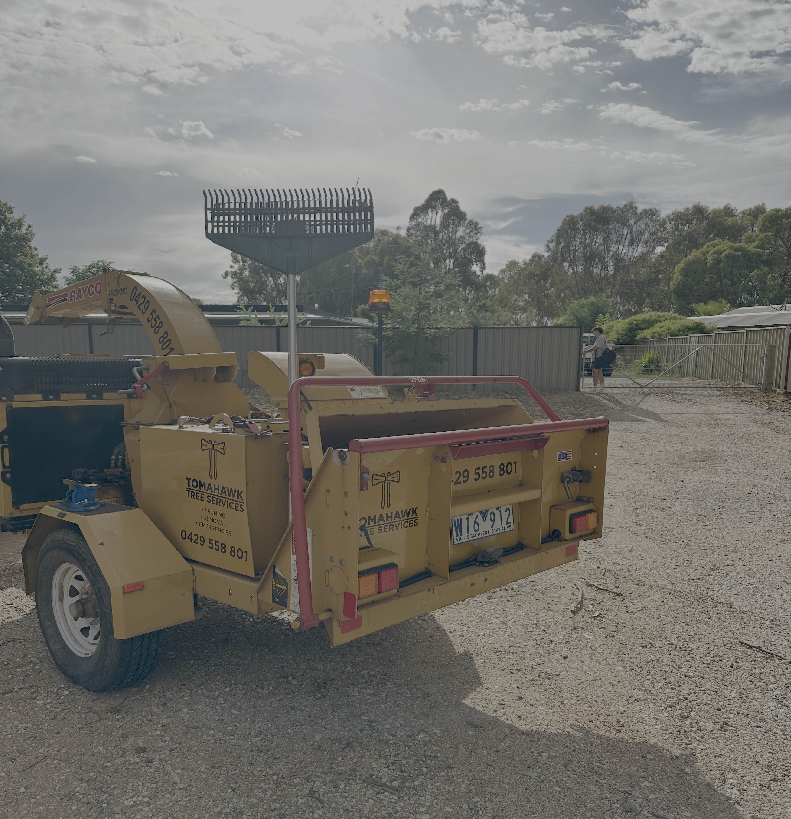 Tree Cleanup & Chipping