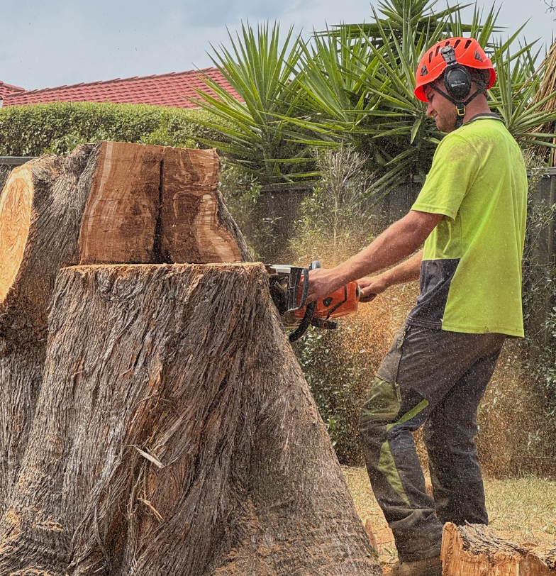 Tree Removal