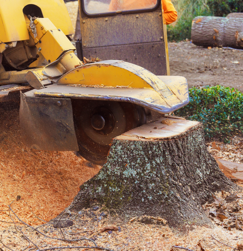 Stump Grinding & Removal