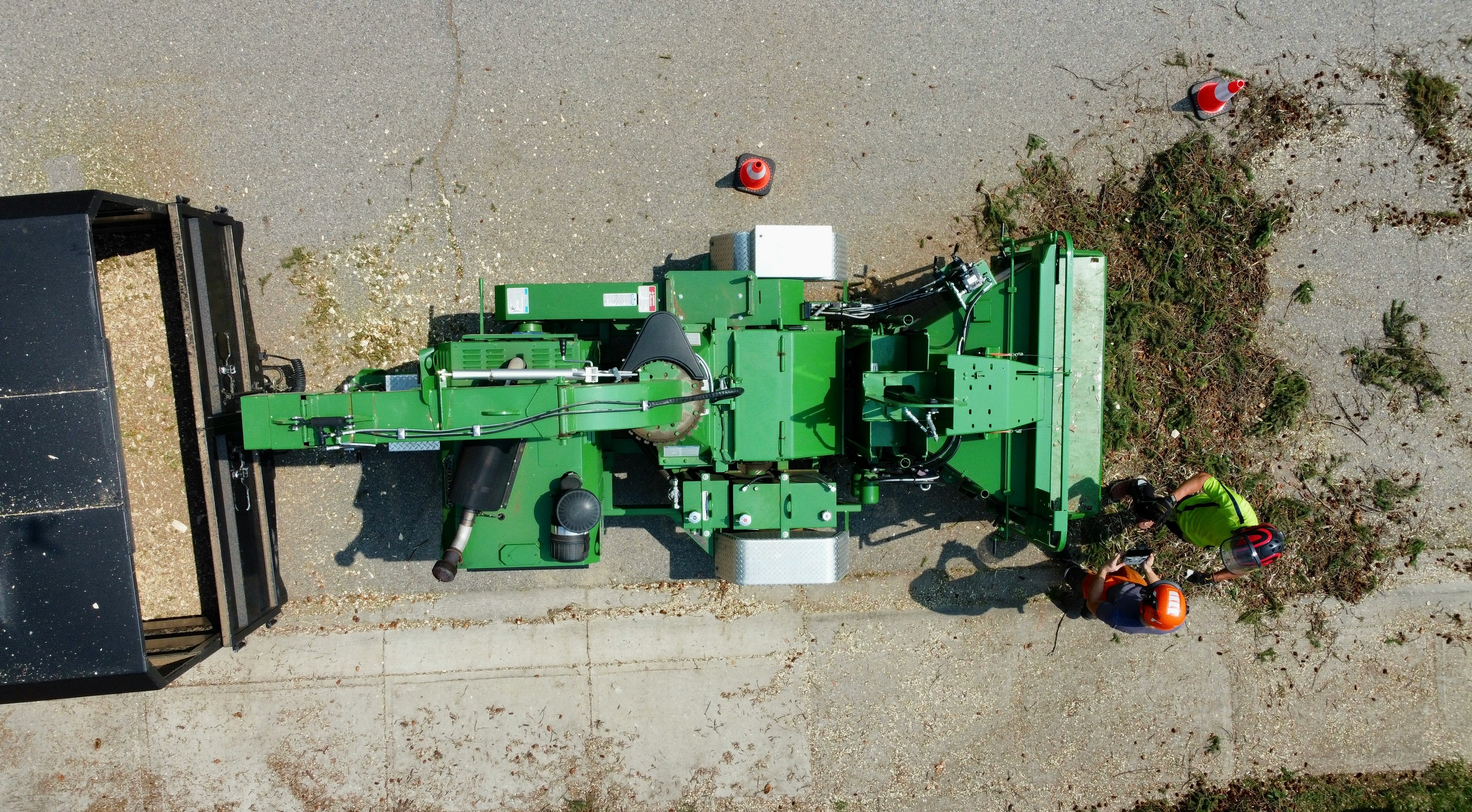 Tree Removal