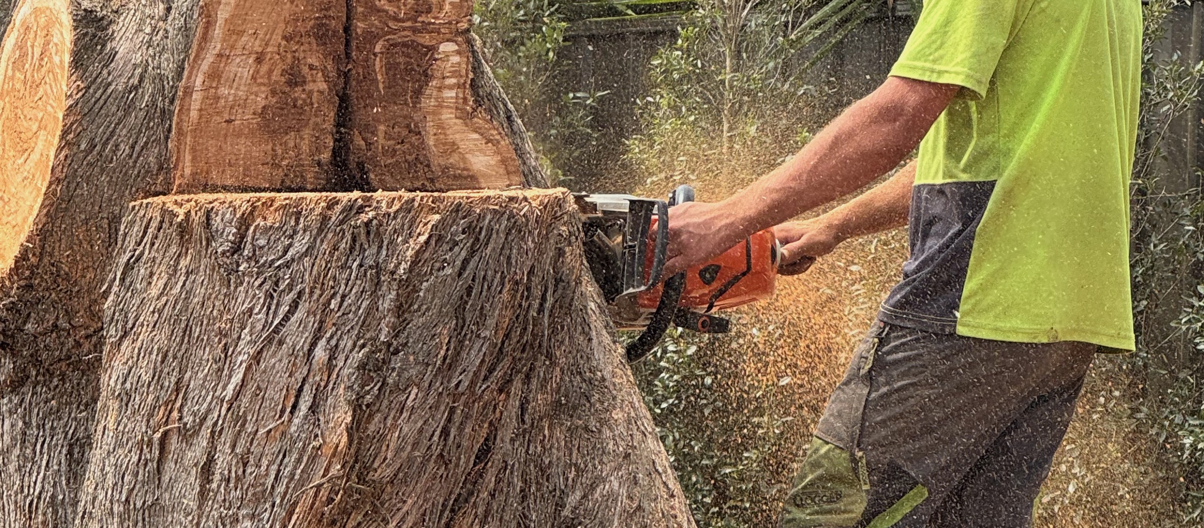 Stump Grinding & Removal