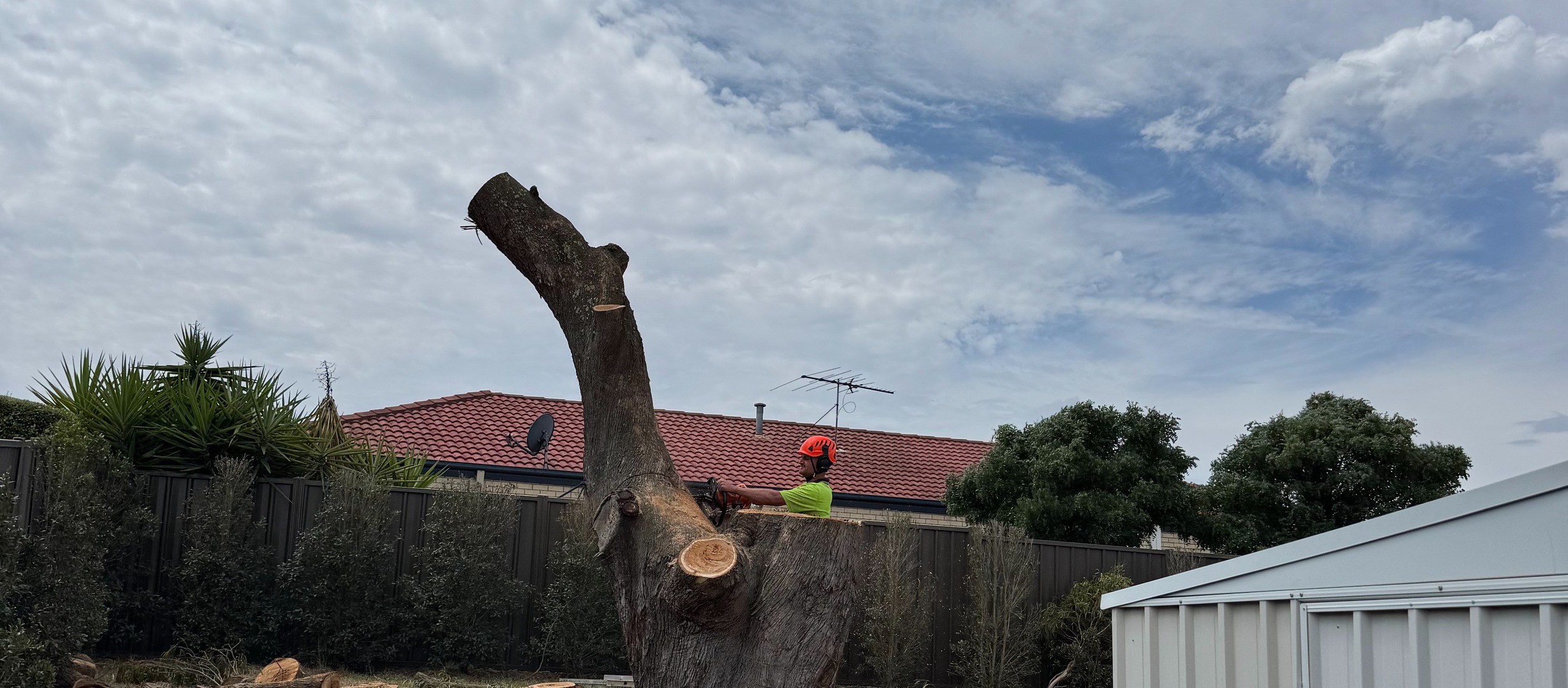 Tree Mulching Services