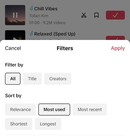 TikTok sound filters example