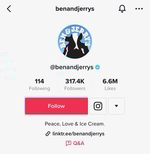 ben and jerry's tiktok bio