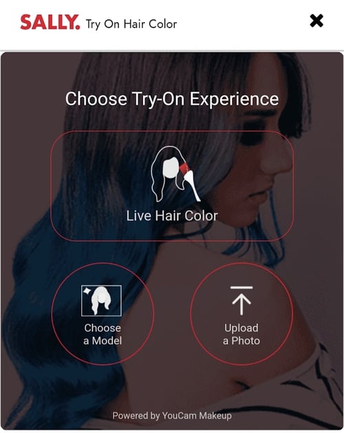 Sally Beauty virtual product sampling example