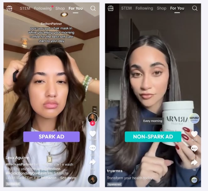 TikTok Spark vs non-spark ads