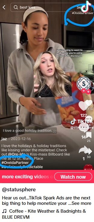 tiktok spark ad screenshot