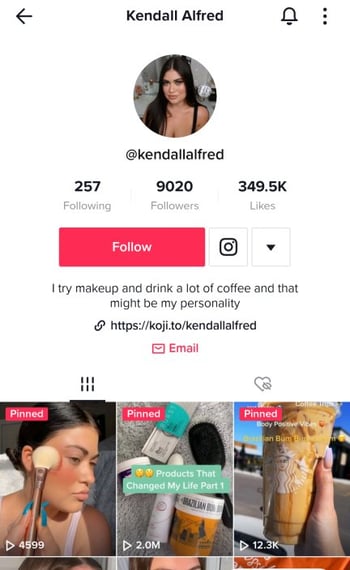 TikTok Creator bio example