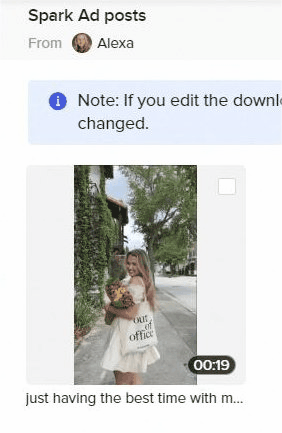 tiktok whitelisting 13