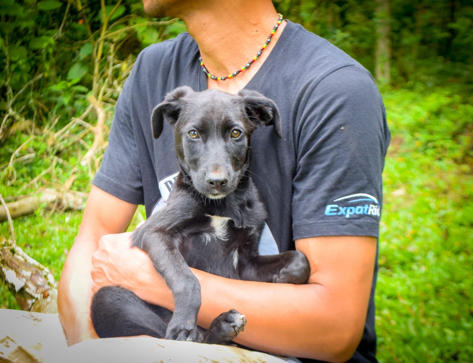 Proyecto Tiger volunteer in an ExpatRide shirt holding a rescued black puppy