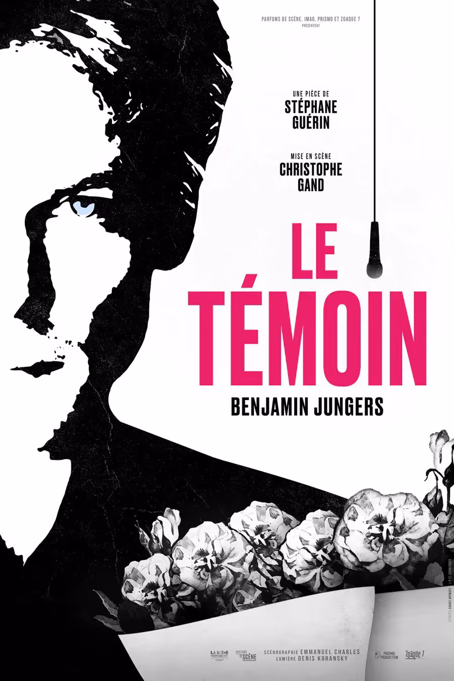 Le Témoin