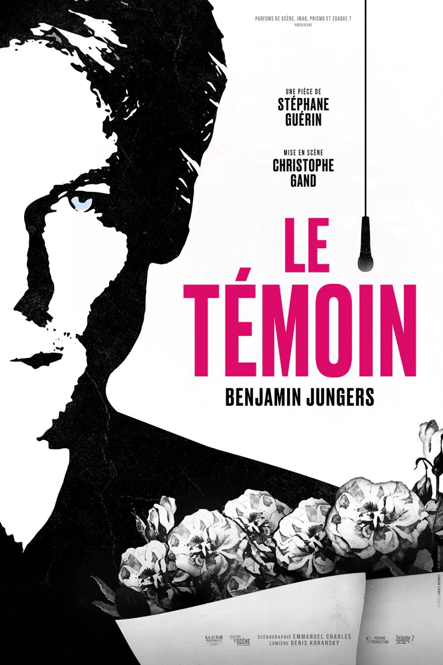 Le Témoin