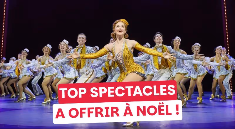 Le cadeau qui fait toujours mouche : les spectacles à offrir absolument pour Noël