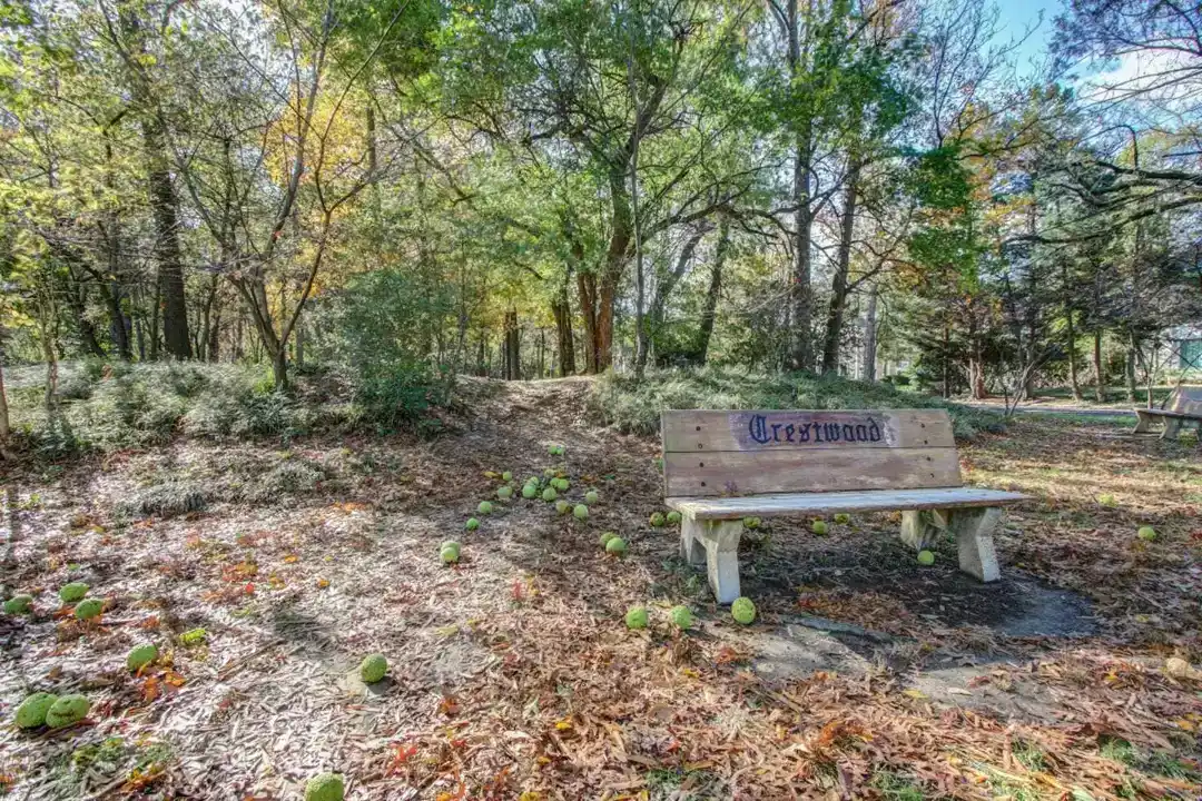 a bench in a park
