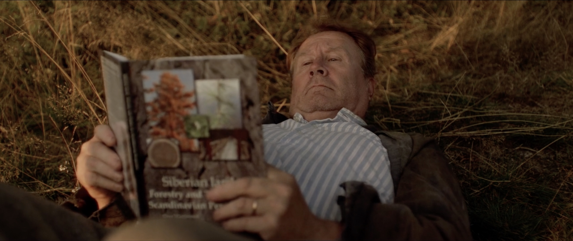 THERE'S A CHILD SWINGING OUTSIDE MY WINDOW