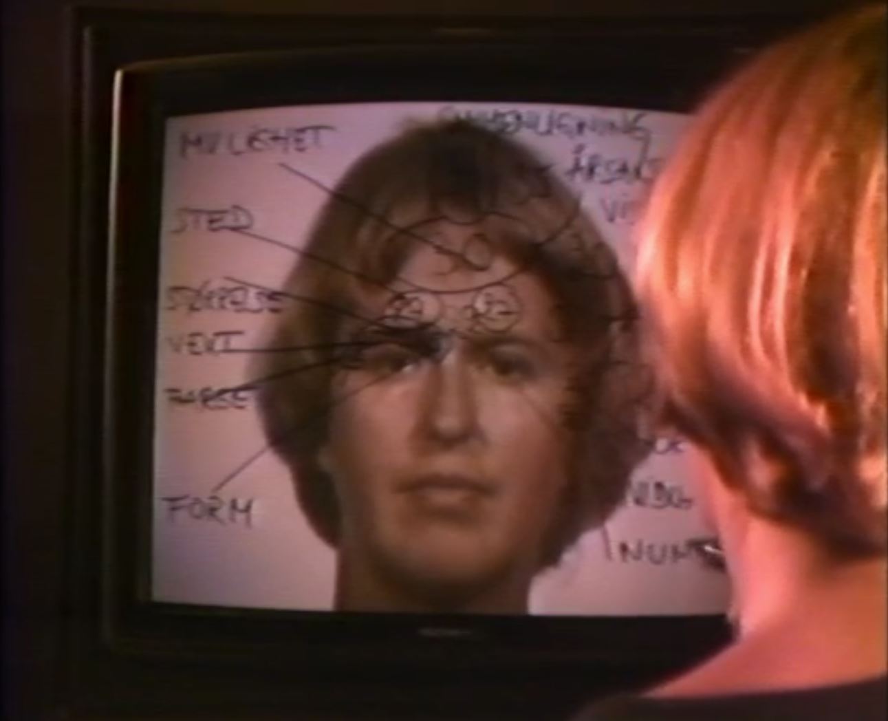 ET FRENOLOGISK SELVPORTRETT