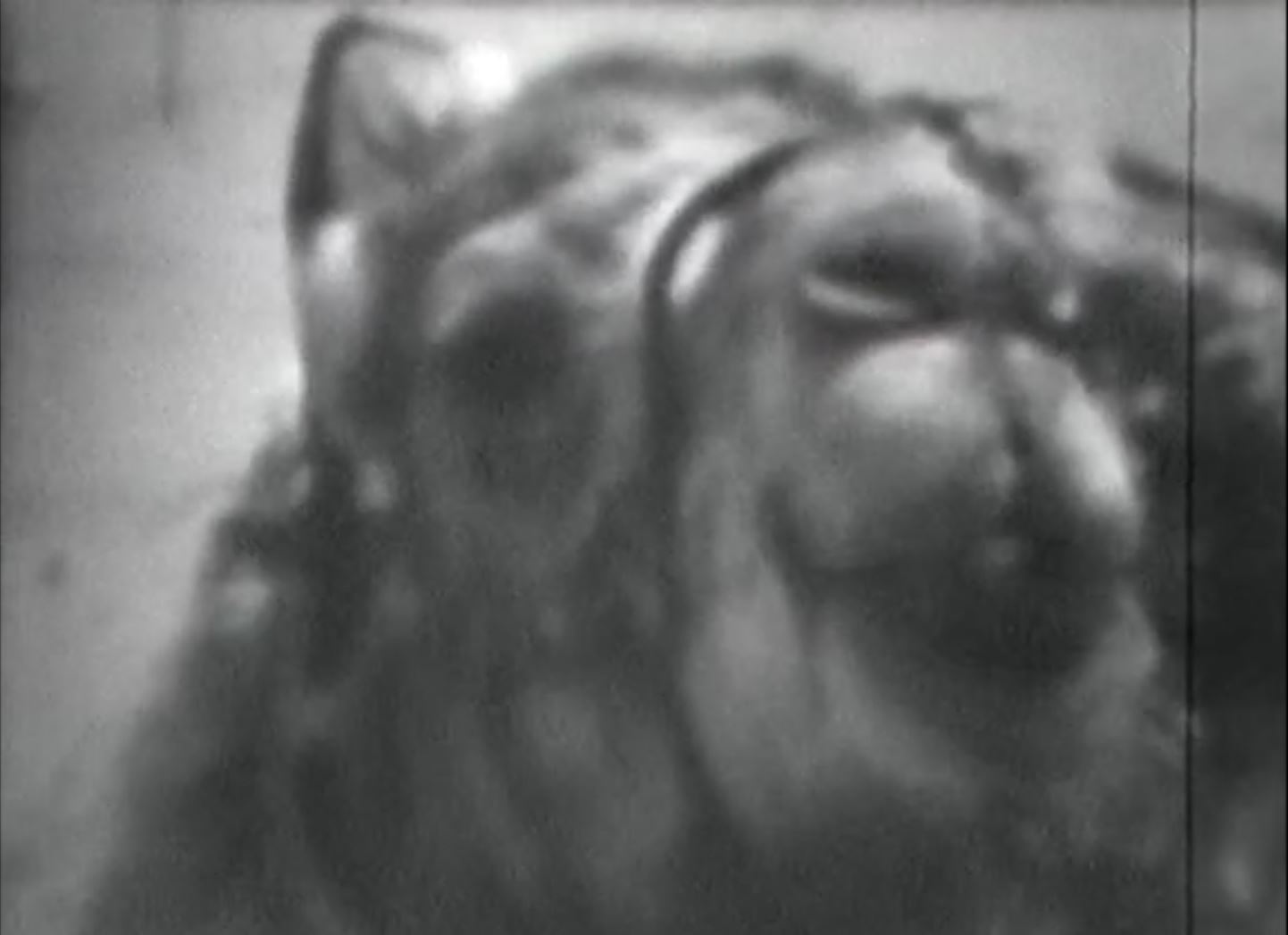 A VIDEO POINT OF VIEW