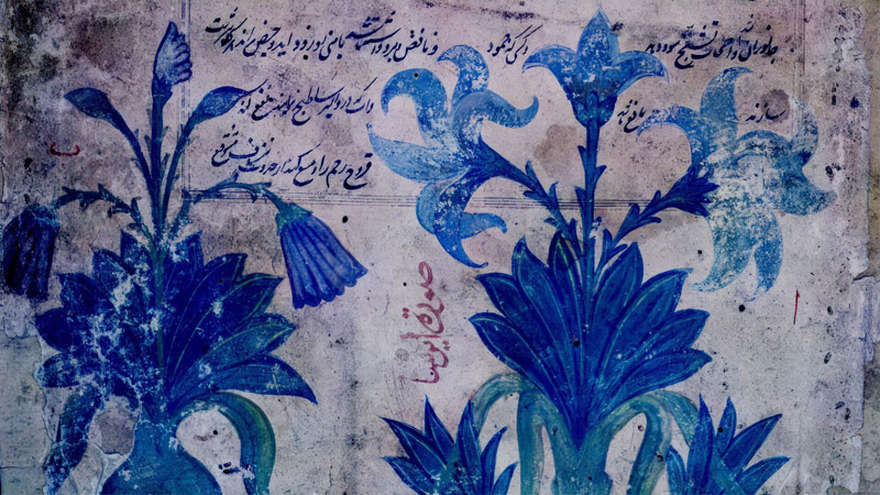 DARIA’S NIGHT FLOWERS