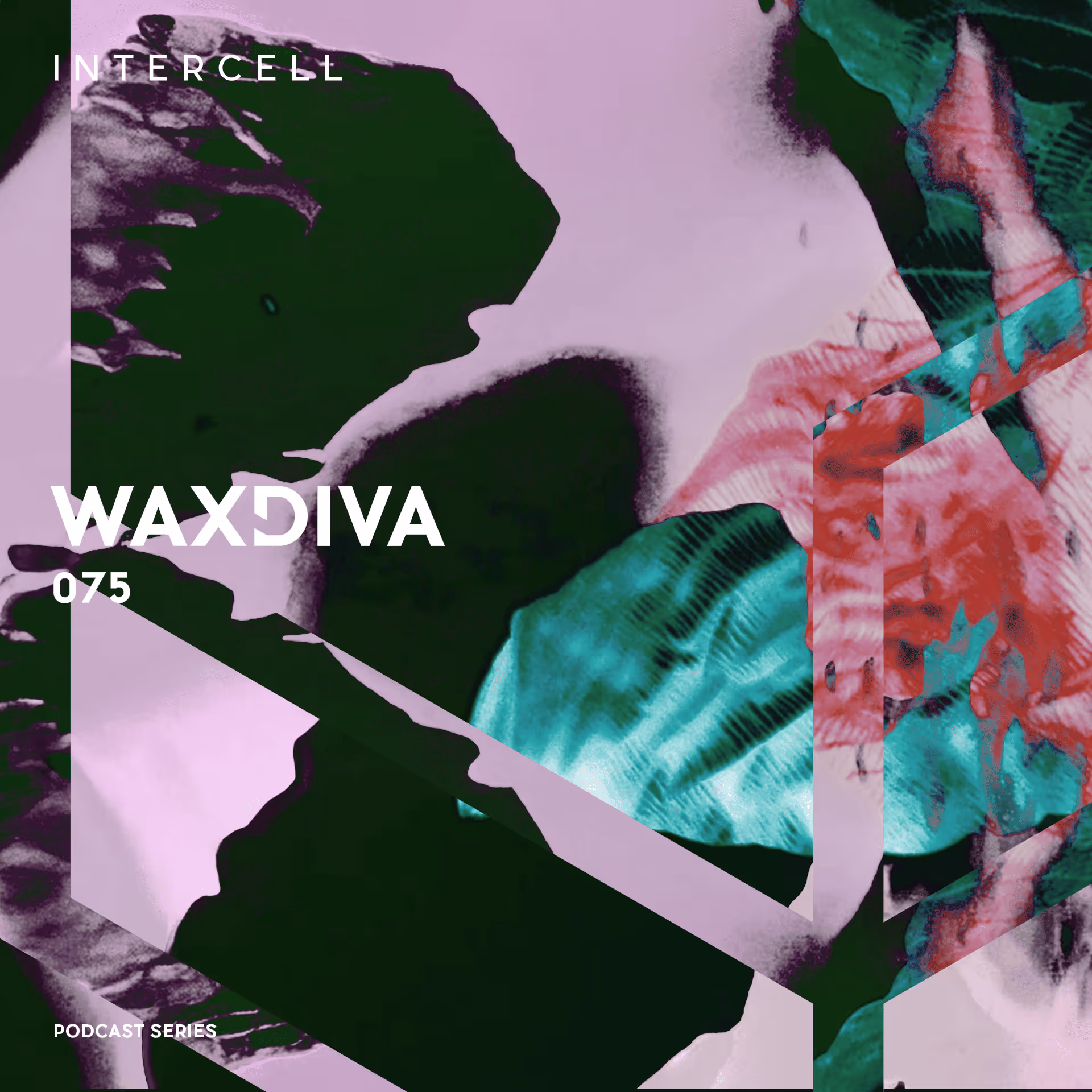 Intercell.075 - Waxdiva