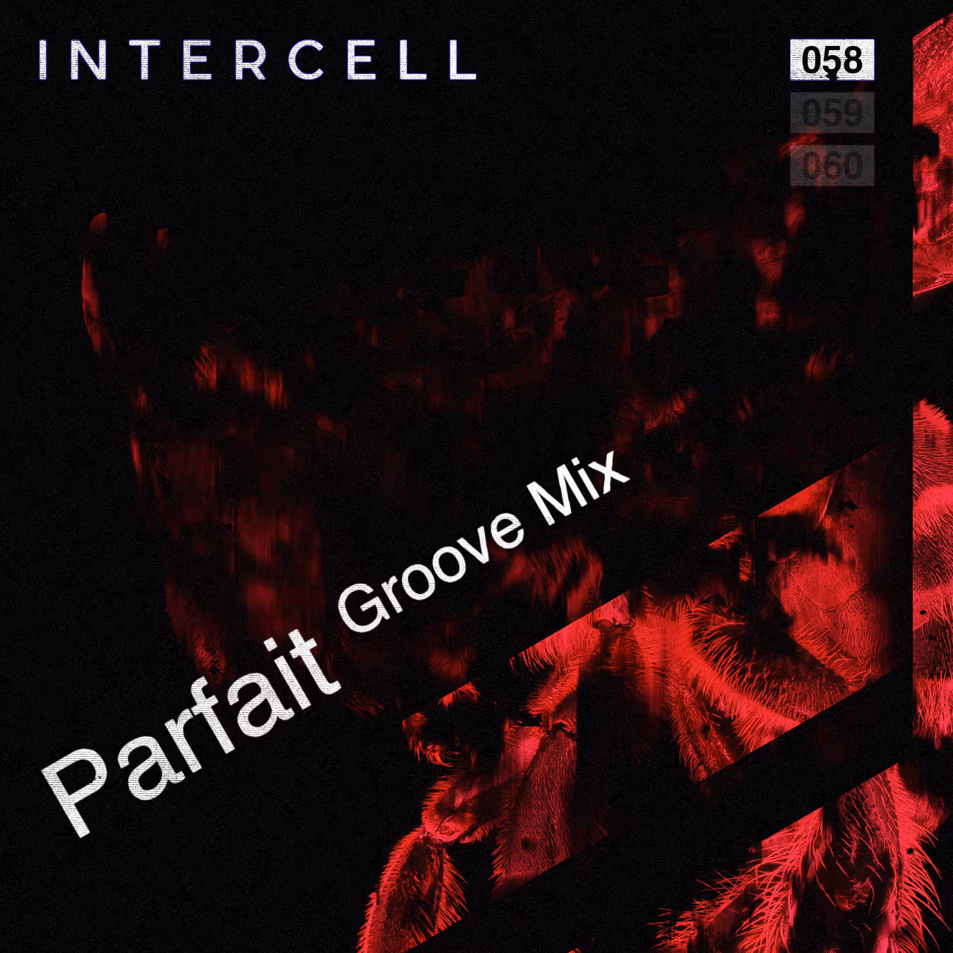 Intercell.058 - Parfait [groove mix]