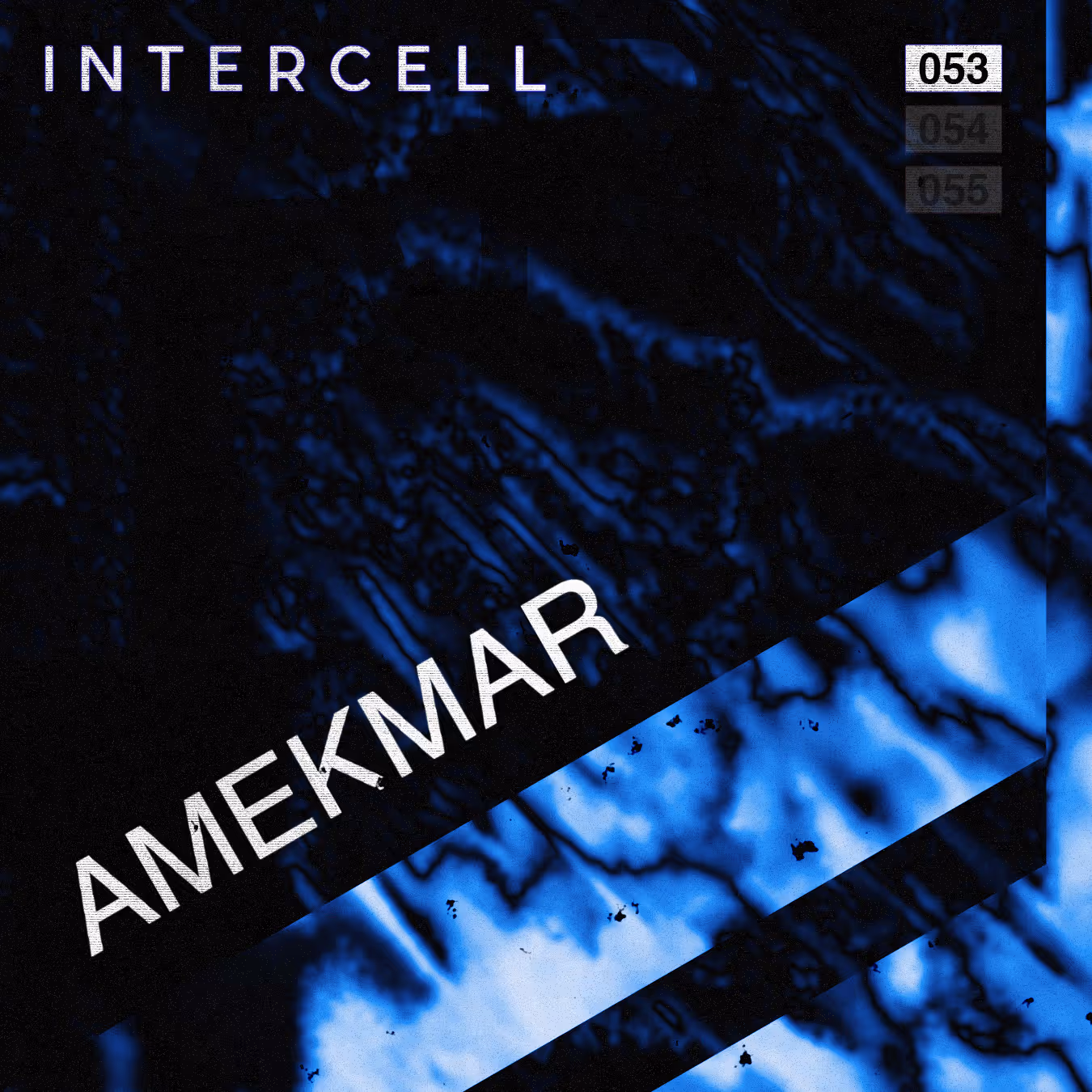 Intercell.053 - AMEKMAR