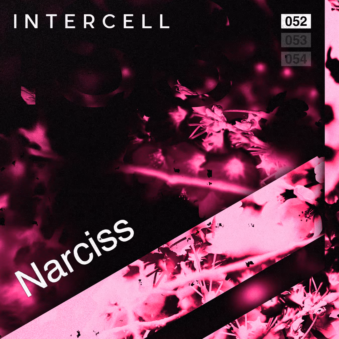 Intercell.052 - Narciss