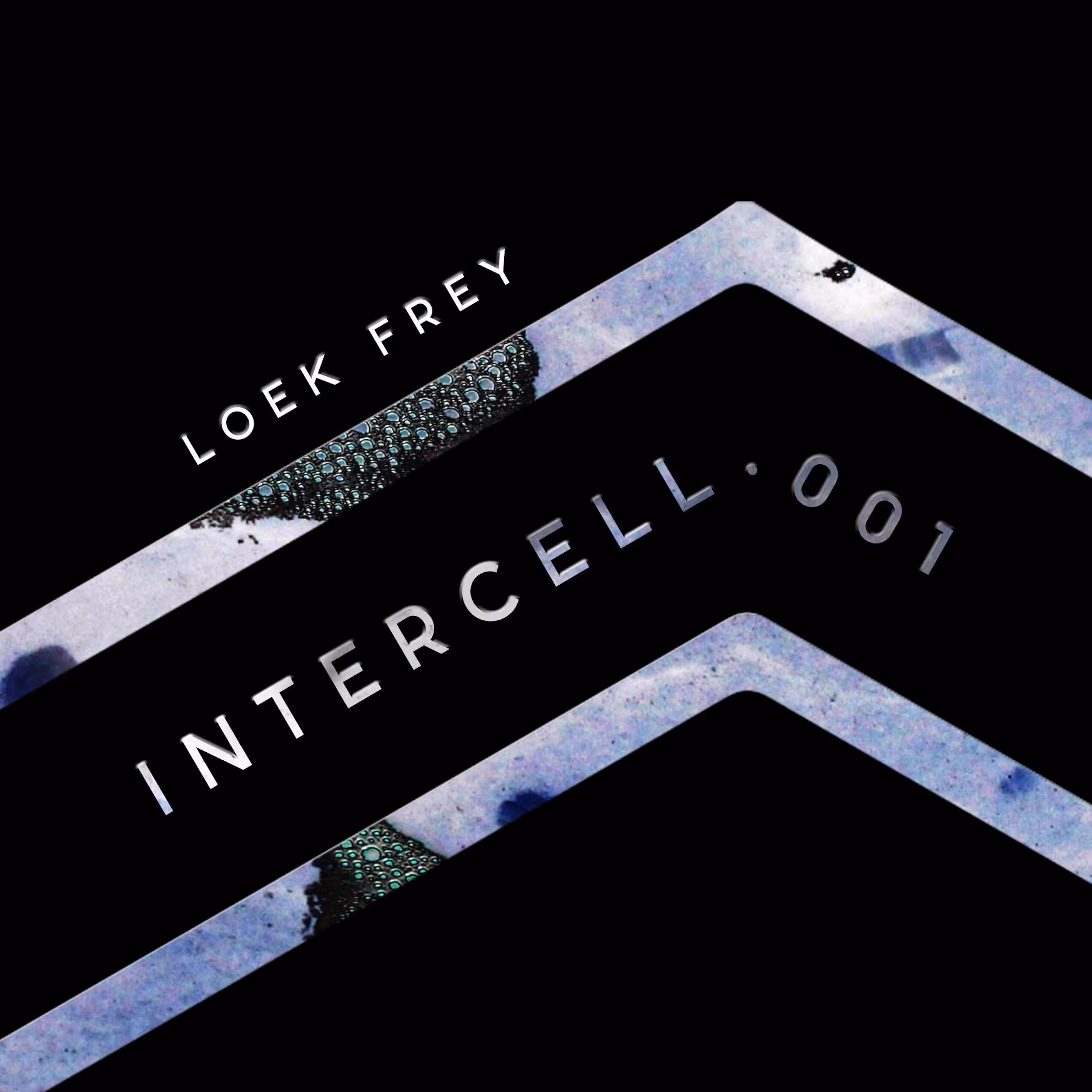 Intercell.001 - Clusion