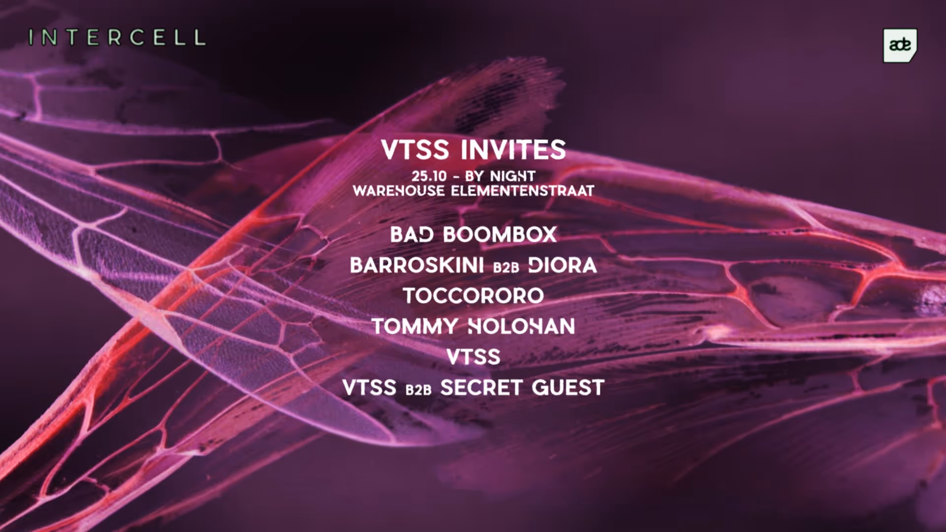 Intercell x VTSS Invites | ADE By Night 