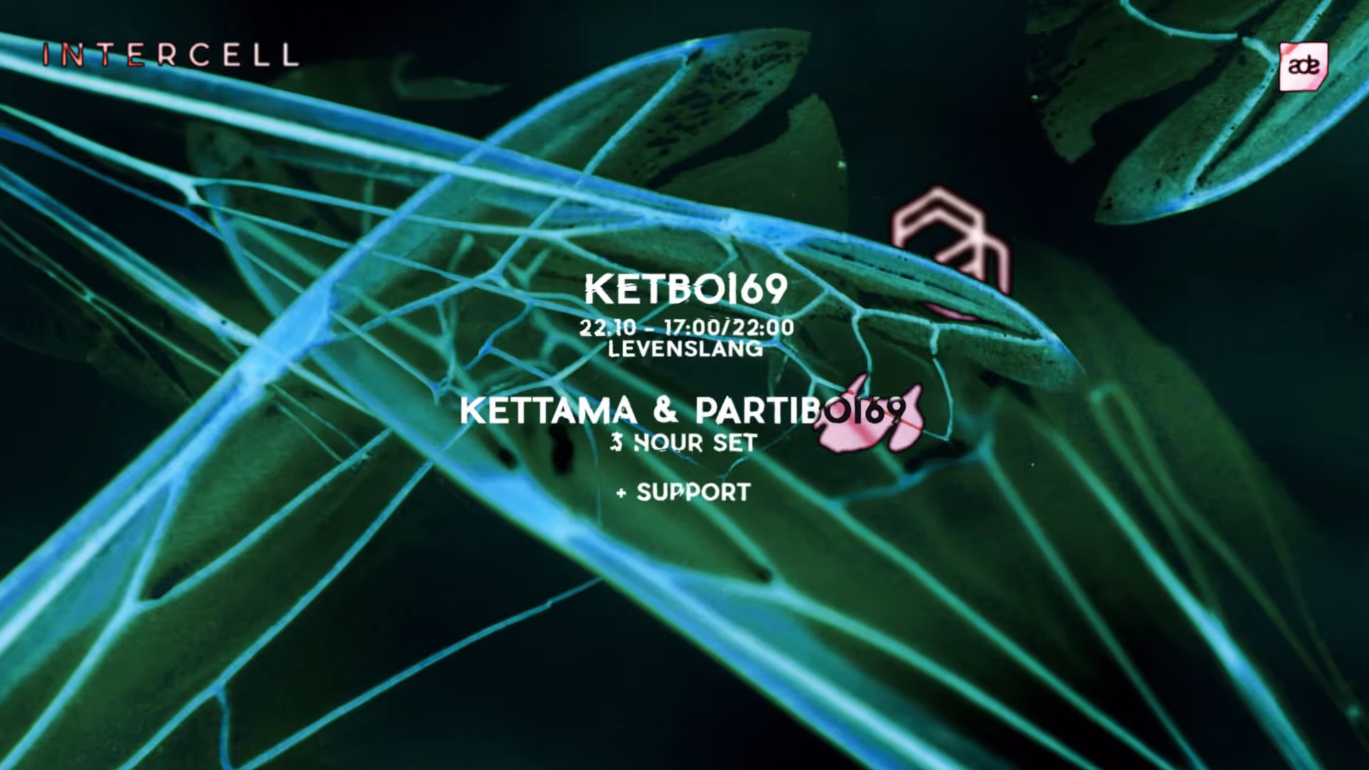 Intercell x KETBOI69 | ADE KICKOFF