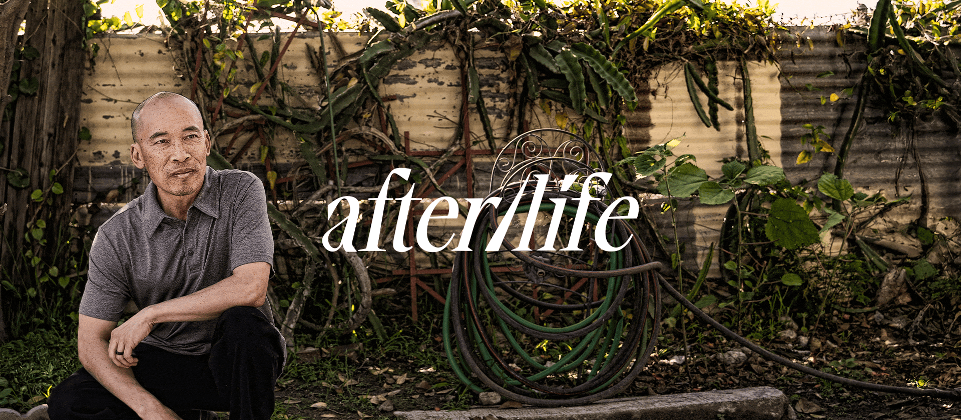 A GIF showing the afterlife logo and some photographs.