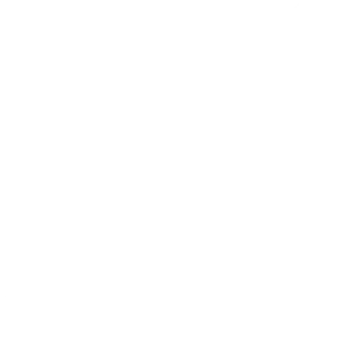 cross icon