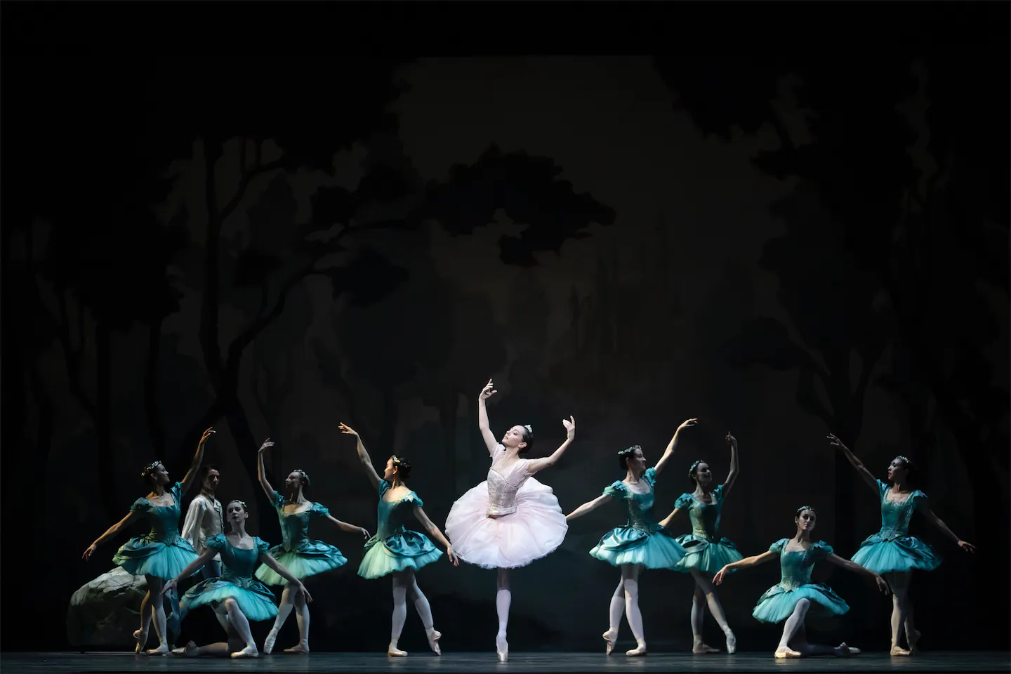 Une ballerine en tutu rose au centre, entourée de huit danseuses en tutus bleus, posant en scène avec un fond sombre.