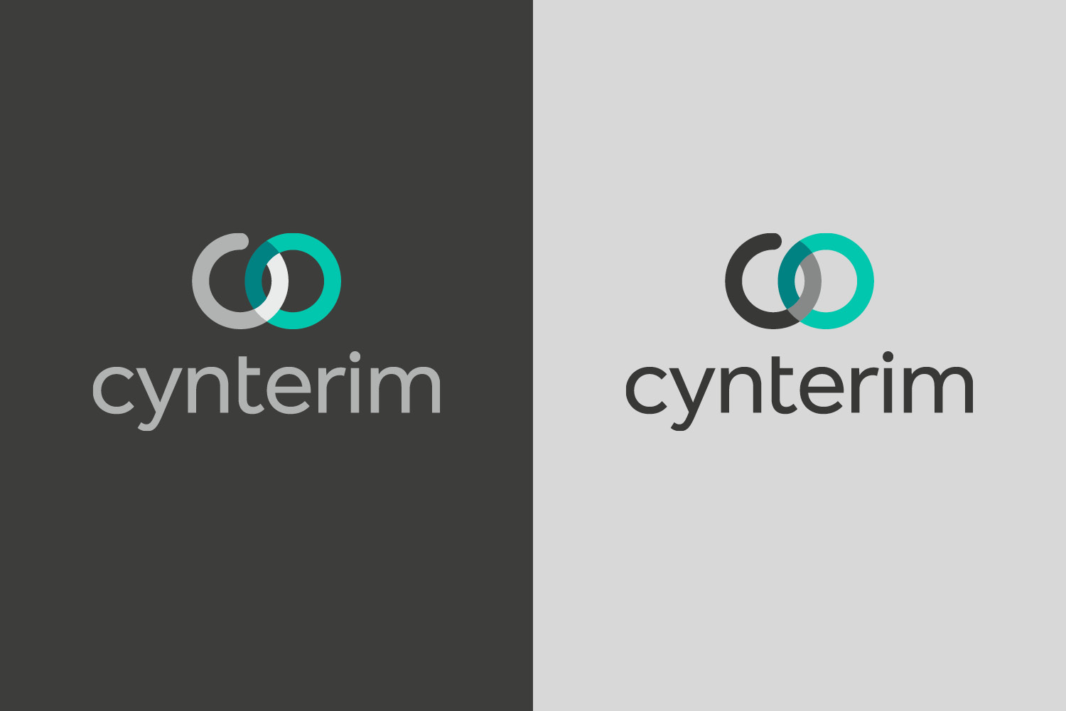 Logodesign für Salesforceunternehmen aus Hinwil