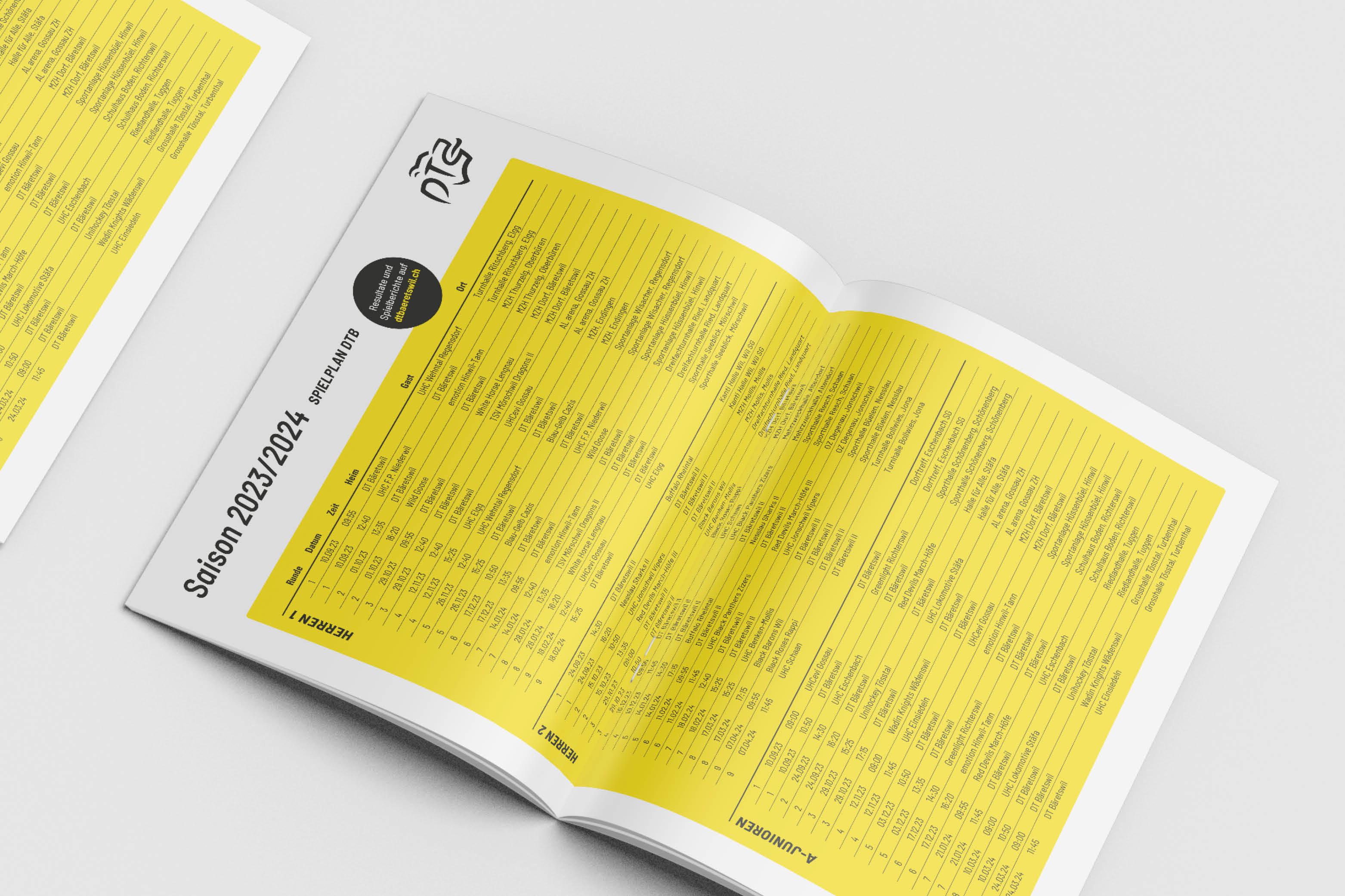 Tabellenblatt und Infografik in der Vereinsbroschüre