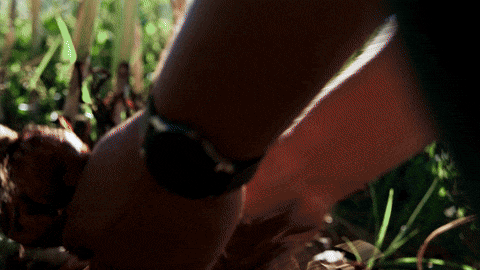 logo bien vivre au tampon