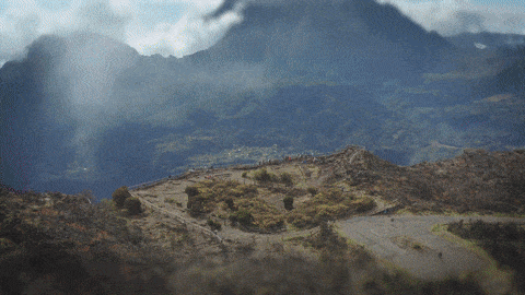 logo de mazin renyon