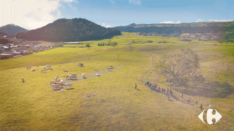 photos de fruits et légumes