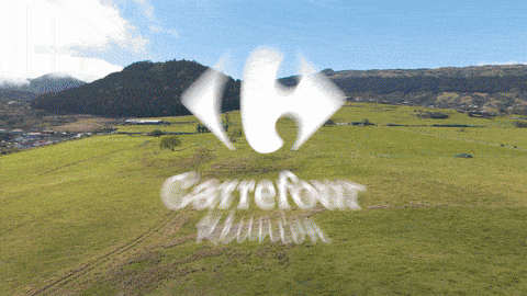 LOGO CARREFOUR
