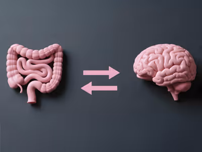 colon and brain
