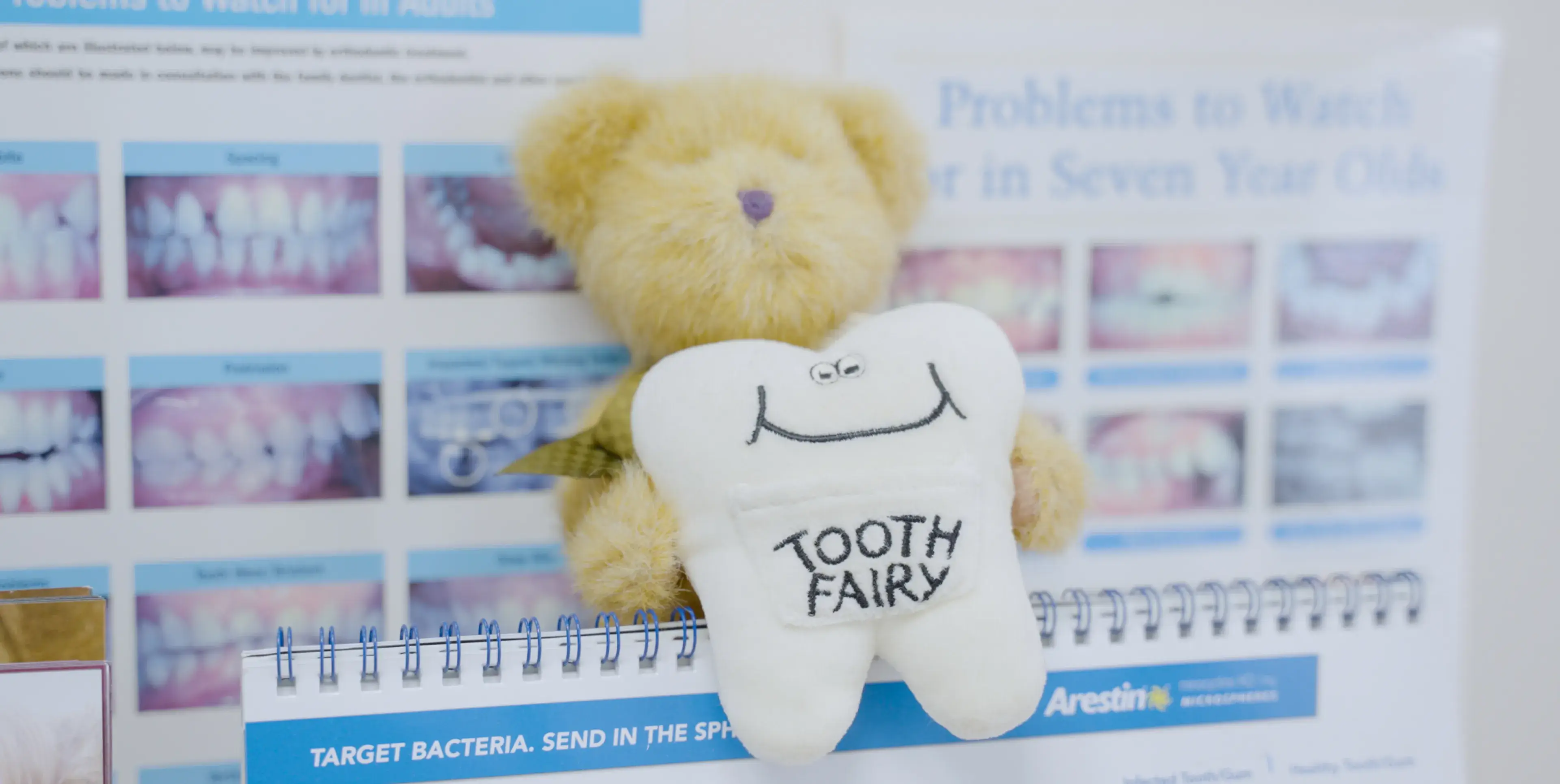 A model of red toy dentures with white teeth is displayed on a shelf.