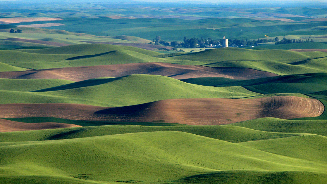 Walla Walla Valley Metropolitan Planning Organization