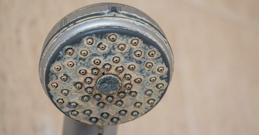 Effects of hard water in Edmonton - mineral buildup on shower head