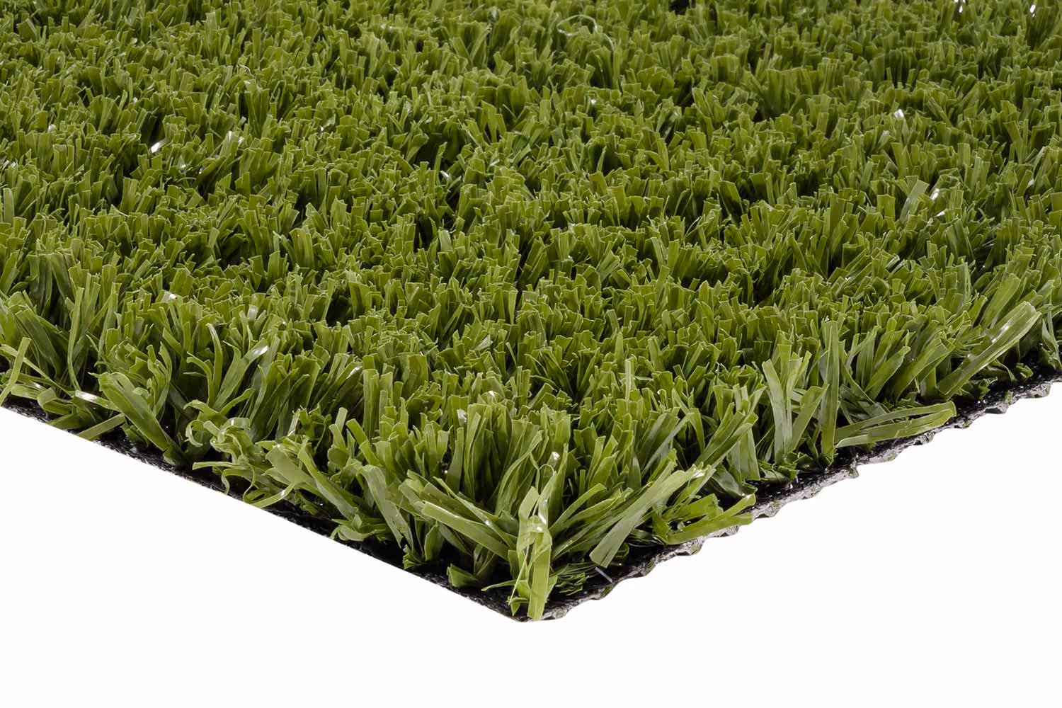 Playgrass 24 | Olive