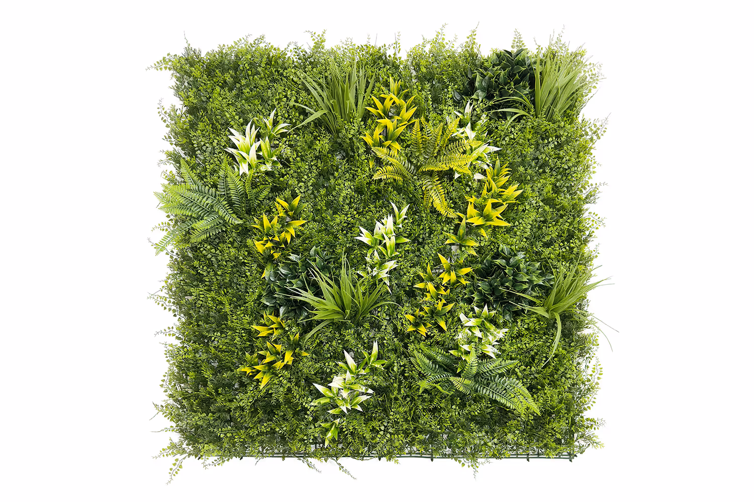 Botanic A